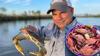 Louisiana Blue Crab Catch amp Cook Boiled Crabs amp Crawfish [upl. by Ilenna]