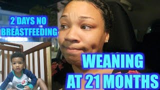 WEANING A 21 MONTH OLD FROM BREASTFEEDING COSLEEPING amp USING CABBAGE [upl. by Trenna]