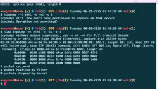 Tcpdump Advanced 1 Link Layer [upl. by Sirrep]