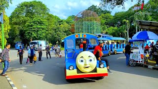 LAGU ANAK NAIK KERETA API TUT TUT Versi Baru  Kereta Thomas amp FRIEND [upl. by Gwen485]