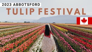 Blooming Brilliant 2023 Abbotsford Tulip Festival  FREE Flowers  Lakeland Flowers [upl. by Maryrose]