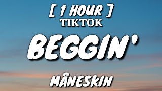 Måneskin  Beggin Lyrics 1 Hour Loop TikTok Song [upl. by Grier]