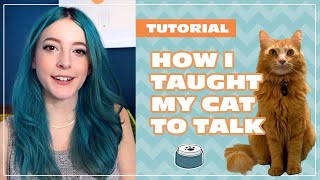 How I Taught My Cat to Talk  Beginner Tutorial [upl. by Druce217]