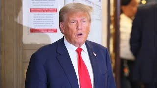 Trump goes FULL DESPERATION in panicked move in DC court [upl. by Ready361]