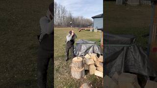 Splitting wedge vs sledgehammer firewood splittingfirewood handtools wood diy woodheat fyp [upl. by Yddeg]