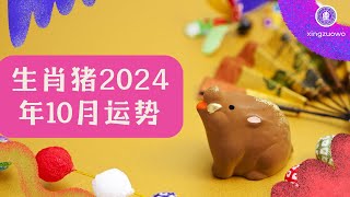 2024年10月属猪人运势 属猪2024年10月运程生肖猪 2024年运势 10月运势 属猪运势 [upl. by Vitale]