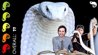 King Cobra The Best Pet Snake The Most DANGEROUS Day Of My Life [upl. by Suiluj]