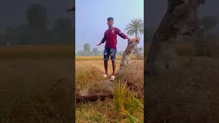 Santali short gana videosong bhojpuri funny funny 😢😢😢❤️❤️❤️🔔🙏😎😎 [upl. by Idur]