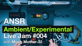 ANSR  AmbientExperimental Live Jam 004 with Moog Mother32 [upl. by Ansel502]