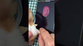 Mouse lock in mobileshortsvideo [upl. by Rush]