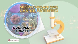 Microorganisms  Can be Patented [upl. by Merdith233]