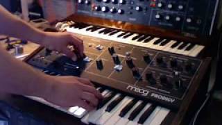 minimoog vs prodigy [upl. by Ehrlich]