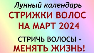 Лунный календарь СТРИЖКИ волос на МАРТ 2024 Благоприятные и неблагоприятные дни [upl. by Anileva]