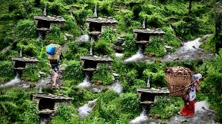 Beautiful Nepali mountain village life simpal happy life style  Eastern Rural Nepal Quest [upl. by Piselli]