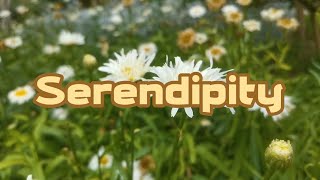 Serendipity LYRICS [upl. by Erund475]