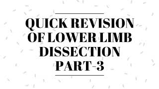 QUICK REVISION OF LOWER LIMB DISSECTION FOR ANATOMY VIVA  PRACTICAL PART3  BY DR MITESH DAVE [upl. by Bunnie913]