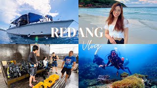 Vlog 4D3N Redang Island trip 热浪岛 🏝 Beach diving sunset foods chill  Du Lịch Đảo Redang🇲🇾 [upl. by Brynn]