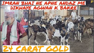 Imran Bhai From Jd Goat Ne Bataye 24 Caret Gold Bakre Agwan Goat Farm Pe Bhiwandi Padgha [upl. by Hagai52]