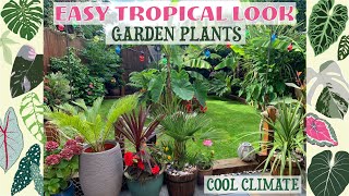 Easy Tropical Look Garden Plants  HardyEasy OverWintering 🌴🌺 [upl. by Guise8]