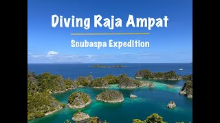 Dive Raja Ampat Dive 1 to 9 [upl. by Lowenstein]