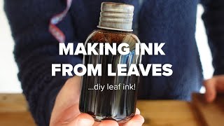 Making Ink From Leaves DIY Leaf Ink [upl. by Renee]