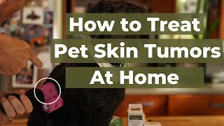 Discover the Top 5 Home Remedies for Skin Tumors in Dogs and Cats [upl. by Whallon]