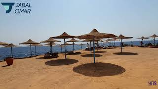 امفوراس بلو شرم الشيخ  Amphoras Blue Sharm El Sheikh   عـمـر الـنـجـدى [upl. by Yelhs]