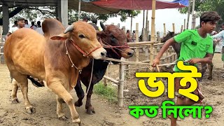 Bhai Koto Nilo Paragram Hozrotpur Gorur Haat 2023  Part 8  Cow Price in Bangladesh [upl. by Calica188]