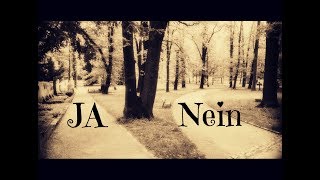 ⭐️ Ja oder Nein ⭐️ [upl. by Nagaer]