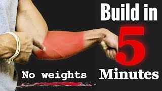 5 minutes intense forearm home workout  without weights  dedicos fitness [upl. by Iila]