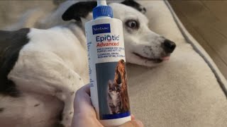 Reviewing EpiOtic Advanced Ear Cleanser for Dogs and Cats [upl. by Buffy283]