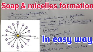 Soap and micelles formation in easy way with brief [upl. by Enyleve]