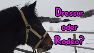 Dressur oder Rodeo 🤪 [upl. by Annabal]