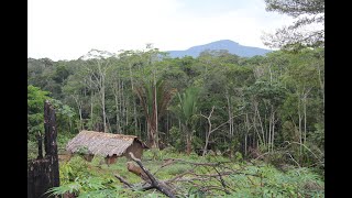 Colombian Amazon places not on the map [upl. by Yurt]