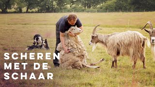 Scheren met de schaar [upl. by Lerrad]