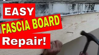 ROOF FASCIA BOARD  How to Repair or Replace Rotten Wood in a Few Easy Steps [upl. by Jana]