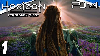 Horizon Forbidden West PS4 Gameplay Walkthrough  Part 1 [upl. by Mackay434]