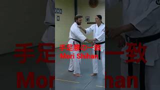 Mori Shihan「合氣必須の条件」森師範  The Power of Aiki  Aikido Yoshinkan Brisbane Dojo 合氣道養神館豪州道場 [upl. by Erika]