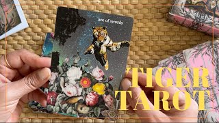 TIGER TAROT  Unboxing  Découverte et premières impressions [upl. by Annahsat78]