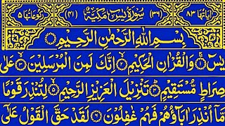 Surah Yaseen Surah ArRahman  Best Quran Recitation  Surah Yasin full  Most Quran Tilawat [upl. by Aizirtap666]