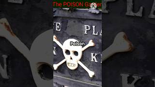 Mysterious Facts I The Poison Garden shortsfeed shortvideo factsmysteriousstorymystery [upl. by Bigner]