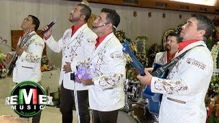 Los Liricos Jr  La guadalupana Serenata a la virgen de Guadalupe [upl. by Leina397]