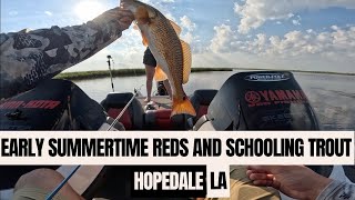 Early Summertime REDFISH and Schooling TROUT [upl. by Kciderf419]