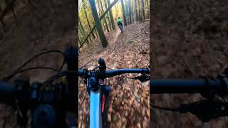 🔥Jesienny Klimat 🤌🌲bike mtb enduromtb specialized mountainbike mtblife shorts gopro short [upl. by Ymia]