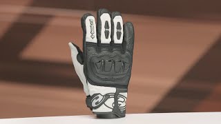 Held Sambia 2in1 EVO GTX Glove Review [upl. by Llevaj893]