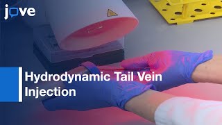 Hydrodynamic Tail Vein Injection to Genetically Modify Hepatocytes  Protocol Preview [upl. by Ennirac]