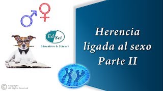 Herencia ligada al sexo 👩🏻🧑🏻  Parte 2️⃣ gatos carey heterosexo hemofilia y daltonismo [upl. by Haropizt512]