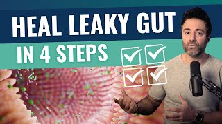 The 4 MOST Effective Leaky Gut Treatments [upl. by Weig545]