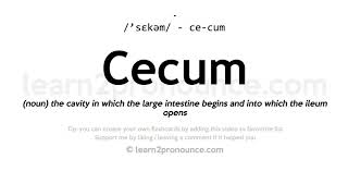 Pronunciation of Cecum  Definition of Cecum [upl. by Sibylla]