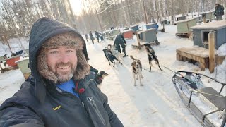 My Incredible Dog Sledding Experience In ALASKA  Mushing Thru The Snow Of Willow  Home Of Iditarod [upl. by Anstus]